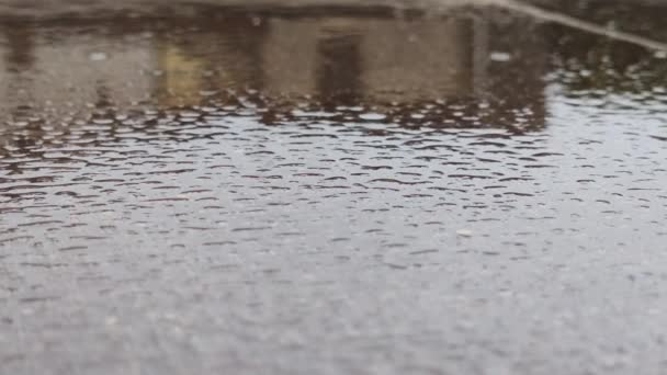 Dešťové Kapky Spadly Louže Kapky Vody Padají Vlhkou Podlahu Podzim — Stock video