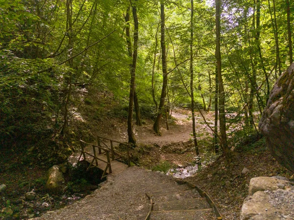 Talya Nın Calabria Daki Doğal Rezervi Nde Unesco Tarafından Tanınan — Stok fotoğraf