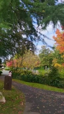 Paris Halk Bahçesi 'nde sonbahar. Autumn Park 'taki Sonbahar Tahta Köprüsü. Harika bir sonbahar. Doğal Arkaplan.