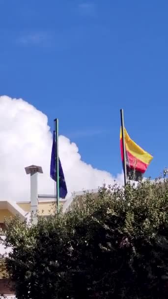 欧盟和德国的旗帜迎战蓝天 欧洲旗子 收集旗子 人民的友谊 — 图库视频影像