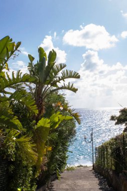 Sahile giden yol. Palm Trees ve Tropikal Çiçeklerle çevrili Şehirler Denize Gidiyor. Calabria 'nın Doğal Fantezi Geçmişi, Cirella, İtalya' nın güneyi.