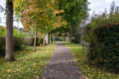 Paris Parkı. Sonbaharda Güneşli Sabah ve Doğa, Paris, Fransa.