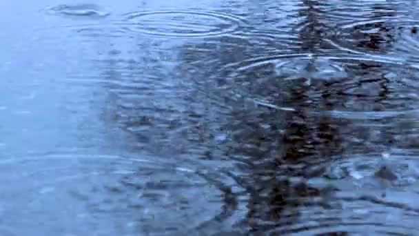 Krople Deszczu Wpadają Kałuży Podczas Ulewy Duże Krople Wody Zwolnionym — Wideo stockowe