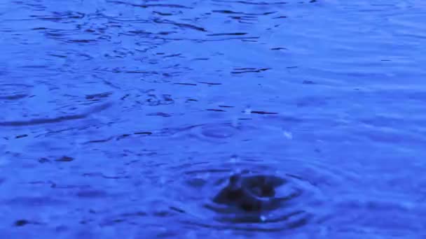 Yağmur Damlaları Sağanak Yağış Sırasında Birikintisine Düşer Yavaş Çekimde Büyük — Stok video