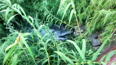 Borudan kanalizasyon akıyor. Borulardan gelen yüksek basınç altında akan suyun genel görünümü. Ekoloji Konsepti.