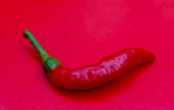 Red hot chili pepper on a red background. Red fresh chili pepper, seasoning for dish, hot pepper, hot spices for cooking, cayenne pepper, food.