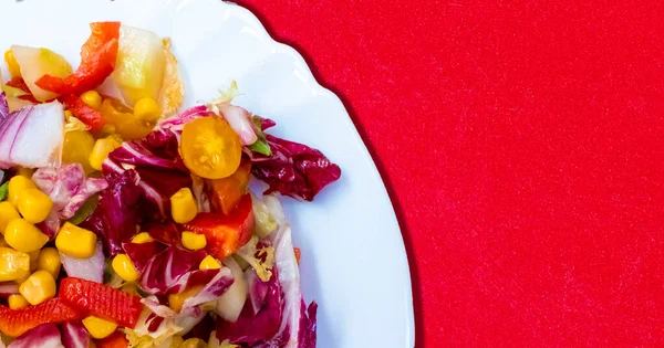 Spring Crocus Flowers. Purple Crocus Flowers in Spring. High Quality Photo. 