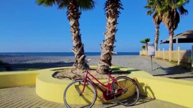 Landscape View Scene of palm Trees on the Beach. Old Bicycle Parked, Clean Beach on a Blue Background of Sea Water and a Clear Sky. Fantastic Beauty of Calabria, Italy, Europe.