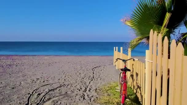 Landscape View Scene Palm Trees Beach Old Bicycle Parked Clean — ストック動画