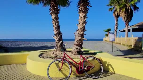 Landscape View Scene Palm Trees Beach Old Bicycle Parked Clean — Video