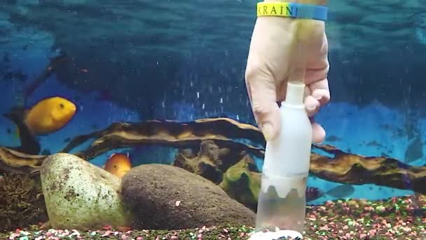 Care Aquarium Cleaning Soil Siphon Aquarium Cleaning Cleaning Gravel Freshwater — Video Stock