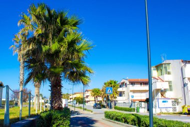 Embankment in Calabria, Southern Italy. Village With Cute Houses for Tourists. Pedestrian Street with Palm Trees and Cafes Along the Coast.