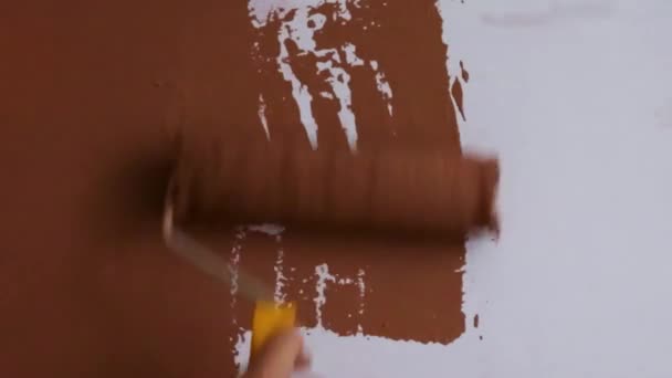 Artista Lavoro Dipinge Muro Con Rullo Servizi Pittura Professionale Video — Video Stock