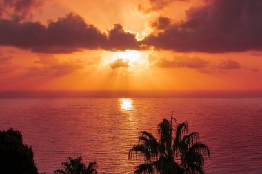 Beautiful Tropical Beach at Sunset with Palm Tree and Pink Sky for Travel and Relaxation During Vacation.