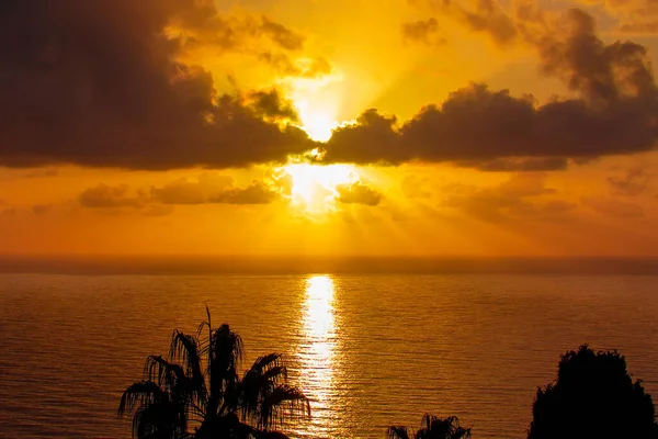 Beautiful Gold Landscape with Tropical Sea Sunset and Palms on Foreground.