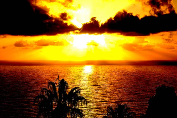 Beautiful Gold Landscape with Tropical Sea Sunset and Palms on Foreground.
