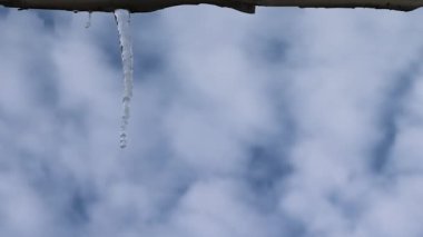 Icicle Glitters in the Sun, yakın plan. Buzullardan Düşen Su Damlaları Bulutlarla Gökyüzünün Arkaplanına Karşı. Icicle Parıltısı.