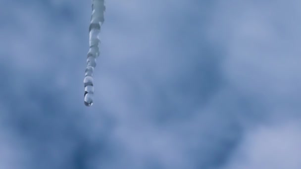 Eiszapfen Glitzert Der Sonne Aus Nächster Nähe Vor Dem Wolkenverhangenen — Stockvideo