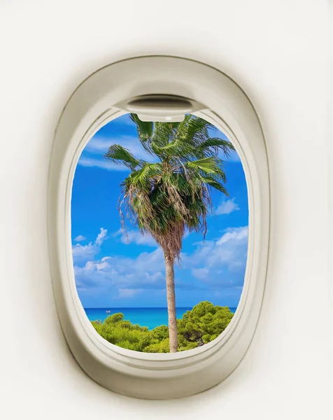 Blick Aus Dem Flugzeugfenster Auf Eine Palme Und Ein Fantastisches — Stockfoto