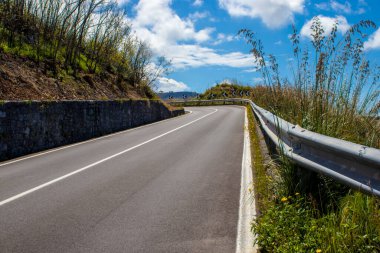 Orman ve Dağlardaki Dönemeç Yol İşareti. Tepedeki Viraj Yolu İşareti.