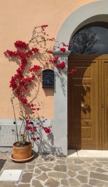 İtalyan ev açık renkli saksı çiçekleri ile.