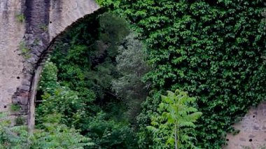 İtalya 'daki Sakin Nehir Üzerindeki Tarihi Taş Köprü, Clabria. Yoğun Ormanlar ve Nehir Vadisi 'nin ortasında, Avrupa, Sinematik Panorama, Güzel Manzara.