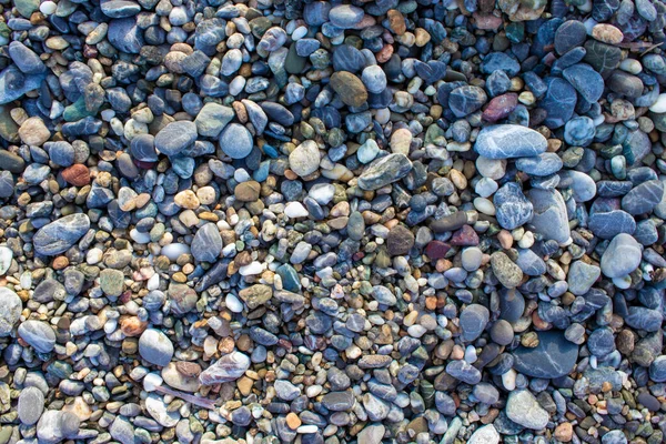 Pebbles Praia Pequenas Pedras Marinhas Cascalho Contexto Texturas — Fotografia de Stock