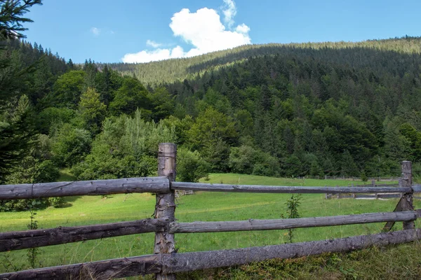 Karpatské Hory Létě Krásného Slunečného Dne Jedinečná Nedotčená Příroda Karpat — Stock fotografie