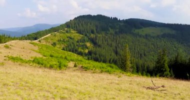 Karpat Dağları 'ndaki Güzel Vadi. Ukrayna Karpatlar Dağlarında Panorama Manzarası Görünümü.