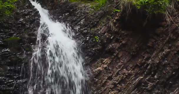 Karpaterna Waterfall Zhenetsky Guk Sommarskogen Bergen Resekoncept — Stockvideo