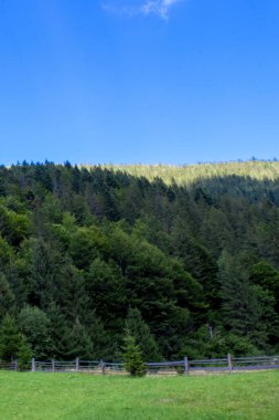 Güzel, güneşli bir günde Karpat Dağları. Karpatların Eşsiz Bakire Doğası, Duvar Kağıdı için Yaz Dağları Manzarası.