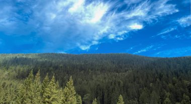 Karpatlar 'ın Güzel Bulutlu Panoramik Manzarası, Ukrayna.