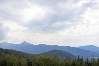 Dağ Ormanı, Uzun Ağaçlar ve Beyaz Bulutlar, Mutluluk Hissiyatı Havayı sarar.