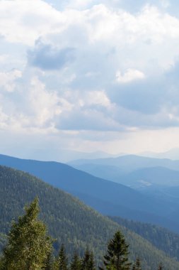 Dağ Ormanı, Uzun Ağaçlar ve Beyaz Bulutlar, Mutluluk Hissiyatı Havayı sarar.