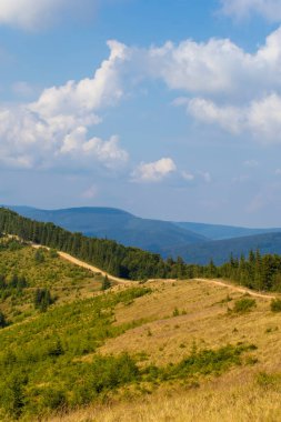 Karpat Dağları. Ukrayna, Karpatlar 'daki Dağ Yolu. Tepe boyunca yürüyüş ve yürüyüş güzergahları. Yazın Karpatya Arazisi.