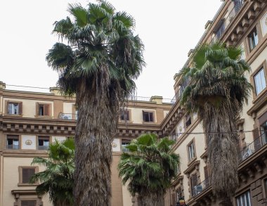 Napoli. Napoli 'nin mimarisi.. 