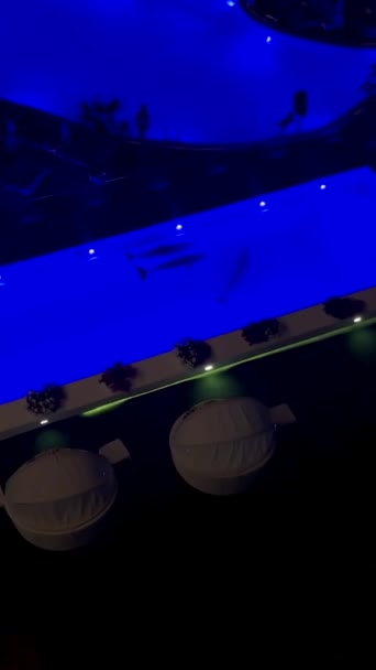 在乌克兰 晚上海豚在海洋公园的游泳池里游泳 — 图库视频影像