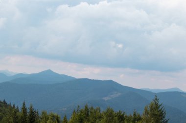 İnanılmaz bir dağ manzarası. Ormanın sabah manzarası, çam ağaçları ve dağların siluetleri..