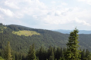Dağlarda yaz manzarası güneşli bir gün. Fantastik dağ manzarası.
