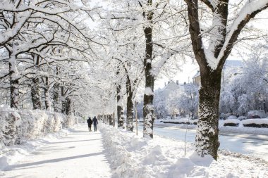 Kışın Münih sokakları, Almanya karla kaplıdır..