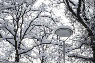 Bir kar yağışı sonrası fener karla kaplıdır. Münih 'te kış havası, artan yağış ve kar seviyesi kavramı.