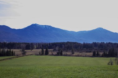 Dağlık dağ evi ve yeşil tarlaları olan Alpler 'deki Idyllic manzarası.