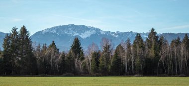 Dağlık dağ evi ve yeşil tarlaları olan Alpler 'deki Idyllic manzarası.