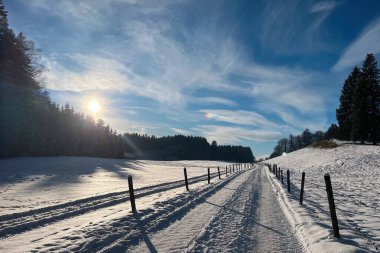 Karla kaplı tarlaları ve ormanları olan sakin kış manzarası.
