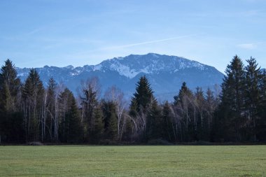 Yeşil tarlaları ve ormanları olan huzurlu kış manzarası. Alpler dağları.