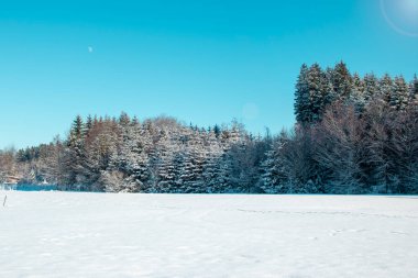 Doğa 'nın nazik dokunuşu manzarayı beyaz ağaçlar ve buzlu bir ormanın baş döndürücü bir Noel sahnesine dönüştürdü..