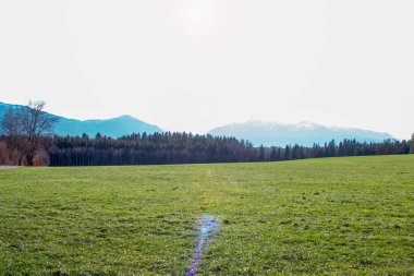 Alplerde yeşil çayırlar ve arka planda dağ zirveleri, Bavyera, Almanya.