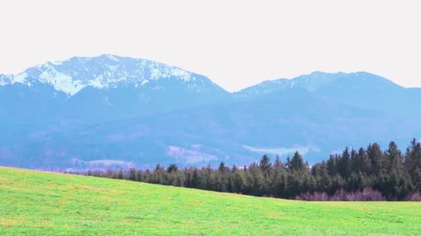 Гори Альп Влітку Прекрасний Природний Вид Німеччині Баварія — стокове відео