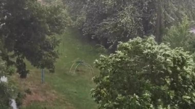 Ağaçlara karşı yağmur. Element, hava değişimi.