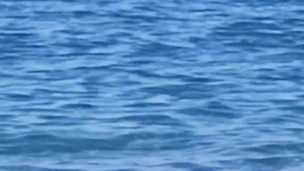Meereswellen Blaue Oberfläche Nautischer Hintergrund Der Sommerferien — Stockvideo